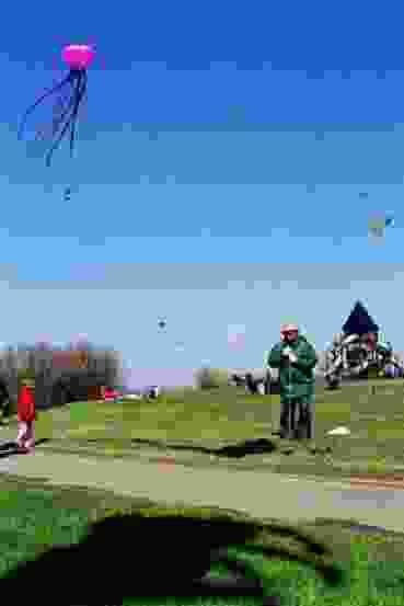 Voir l'image pho_pieuvre.jpg en taille r�elle